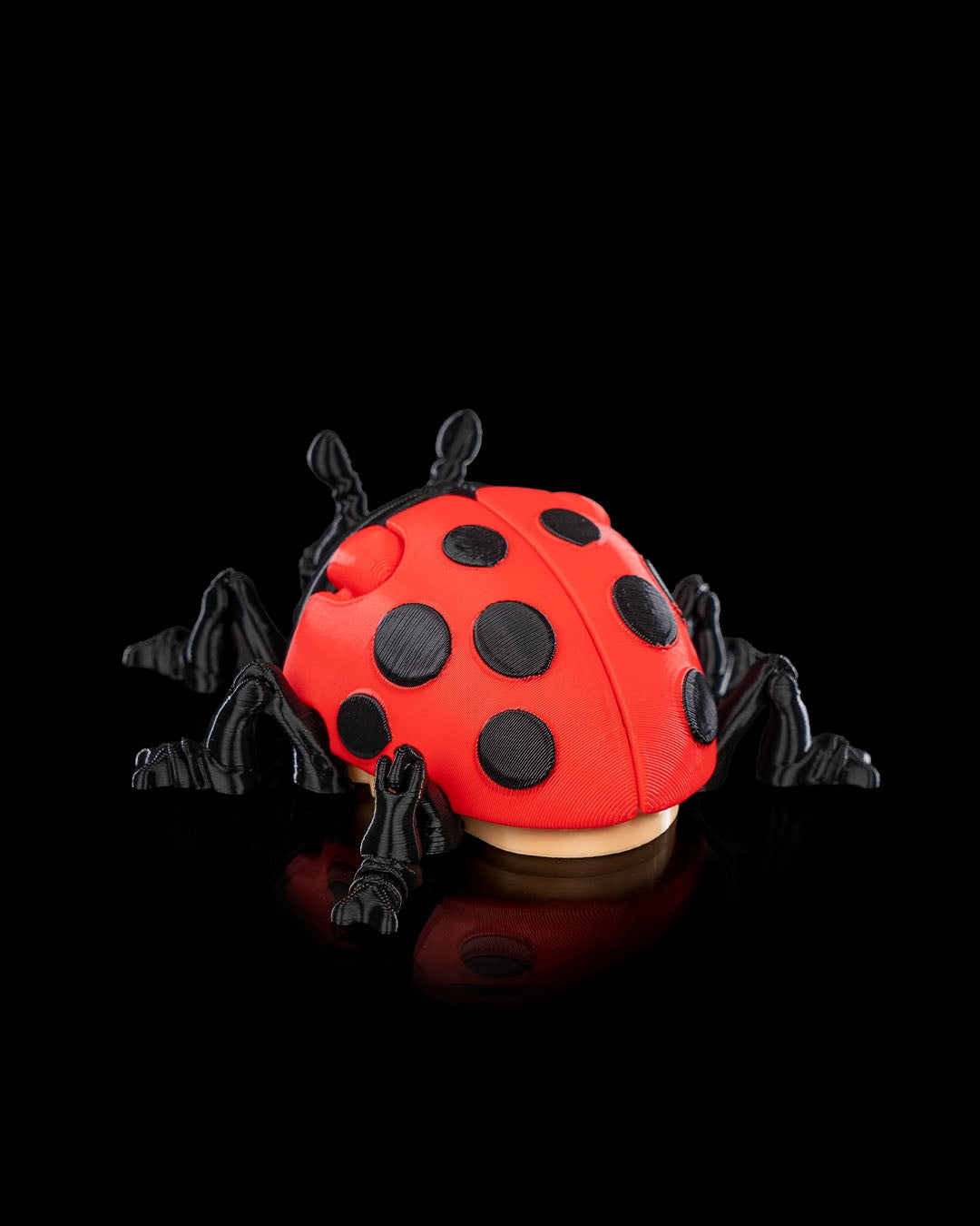 Flexi Ladybug