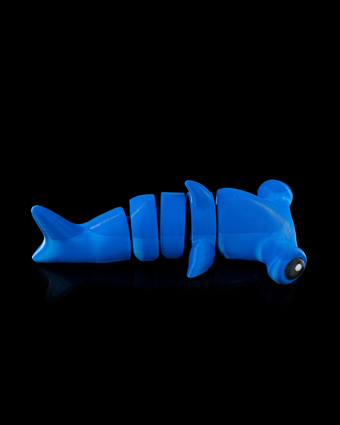 Finn the Shark