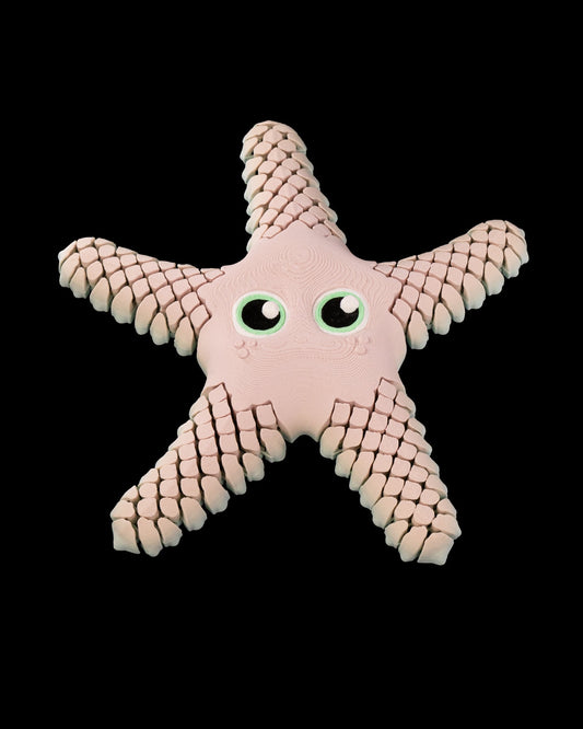 Stella the Starfish