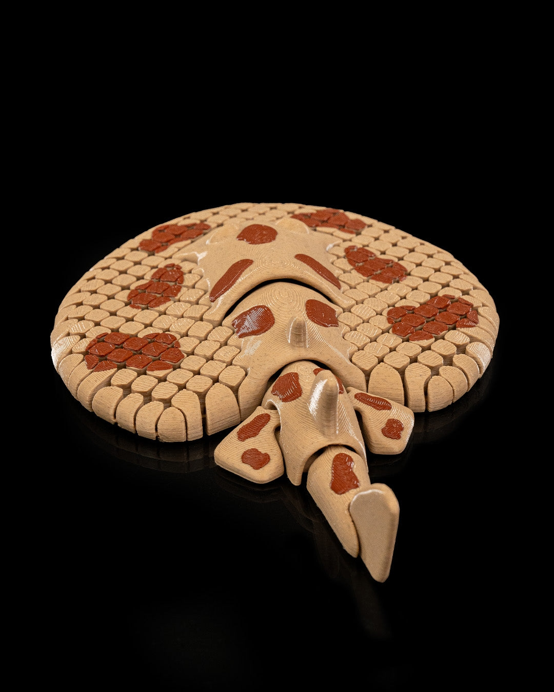 Flexi Stingray