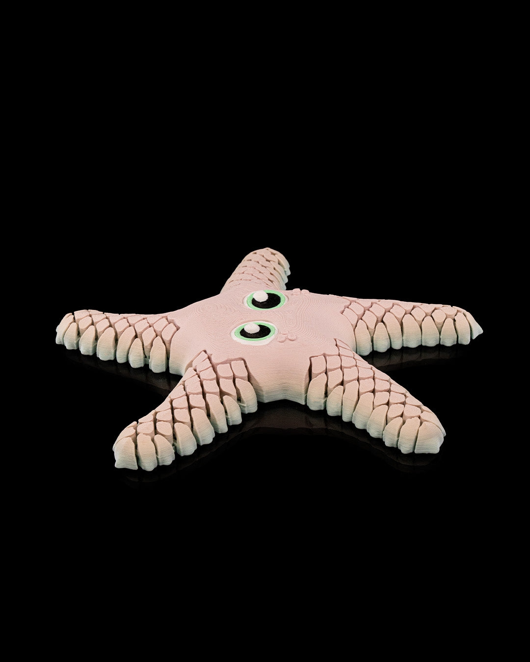 Stella the Starfish