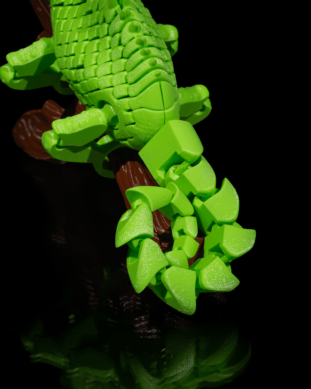 Charming Chameleon