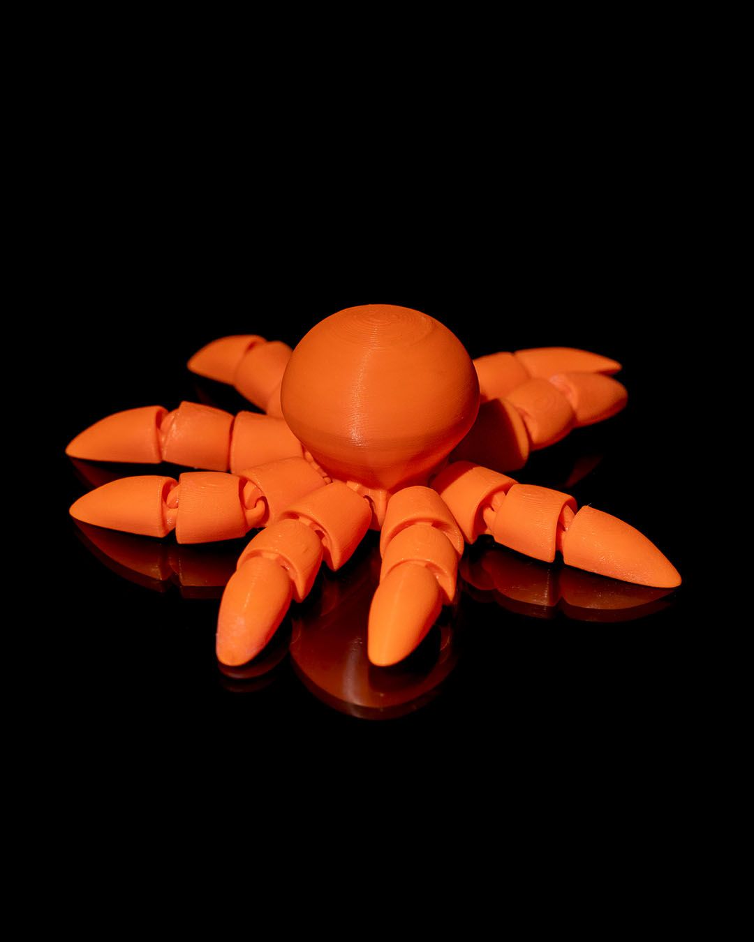 Clingy the Octopus