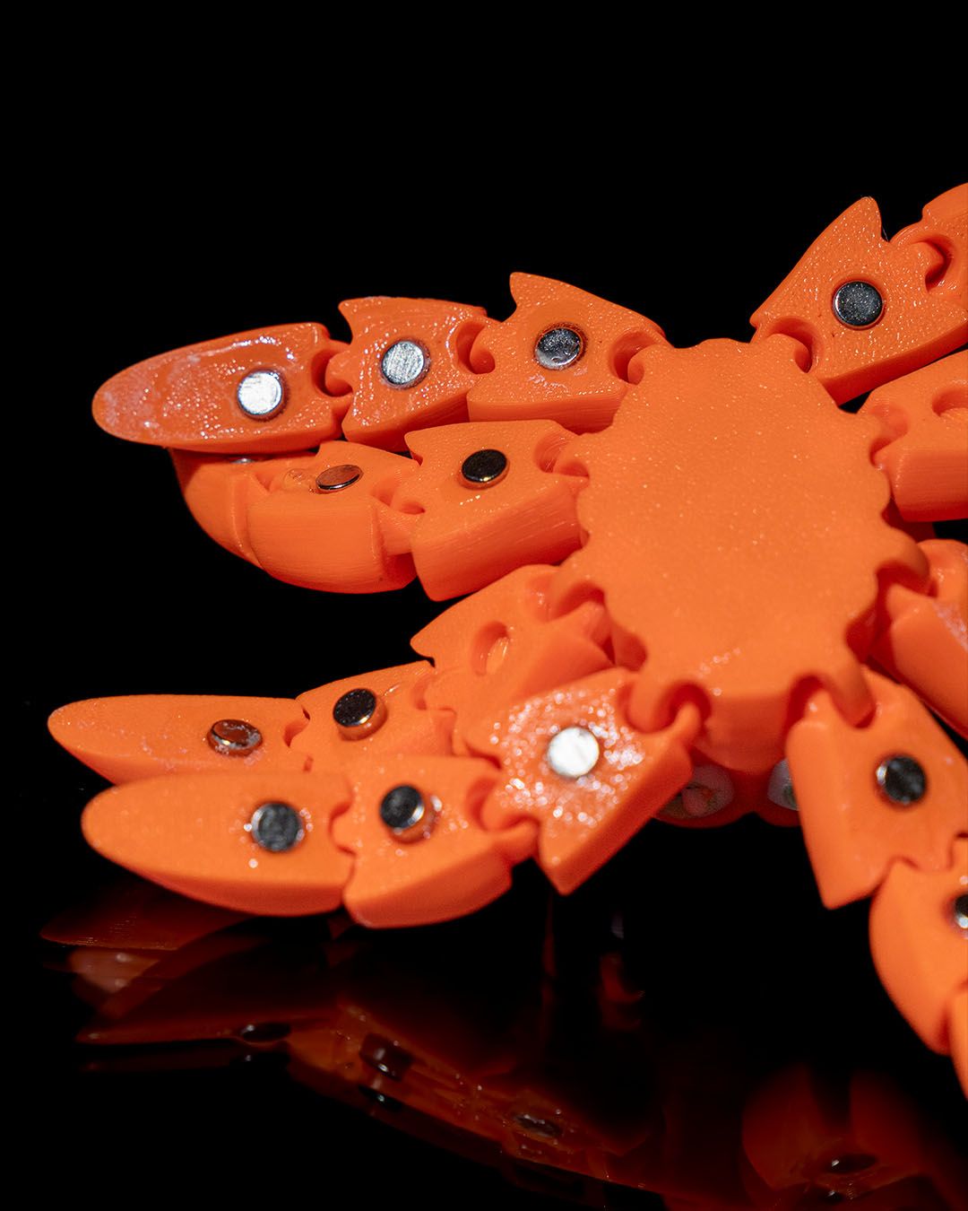 Clingy the Octopus