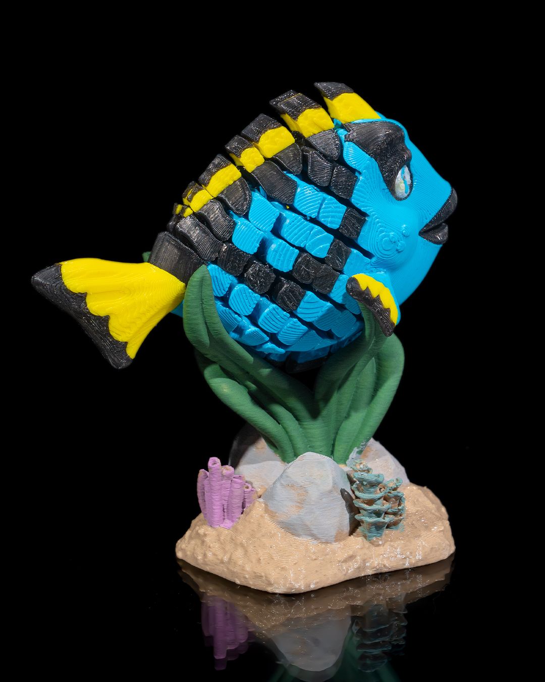 Dolores the Blue Tang