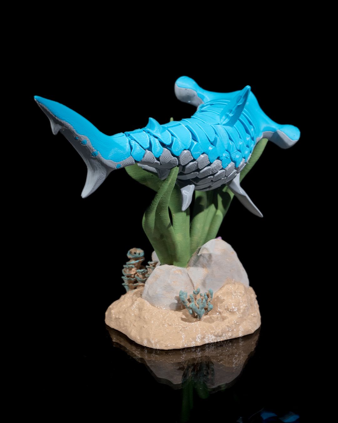 Hanz the Hammerhead Shark