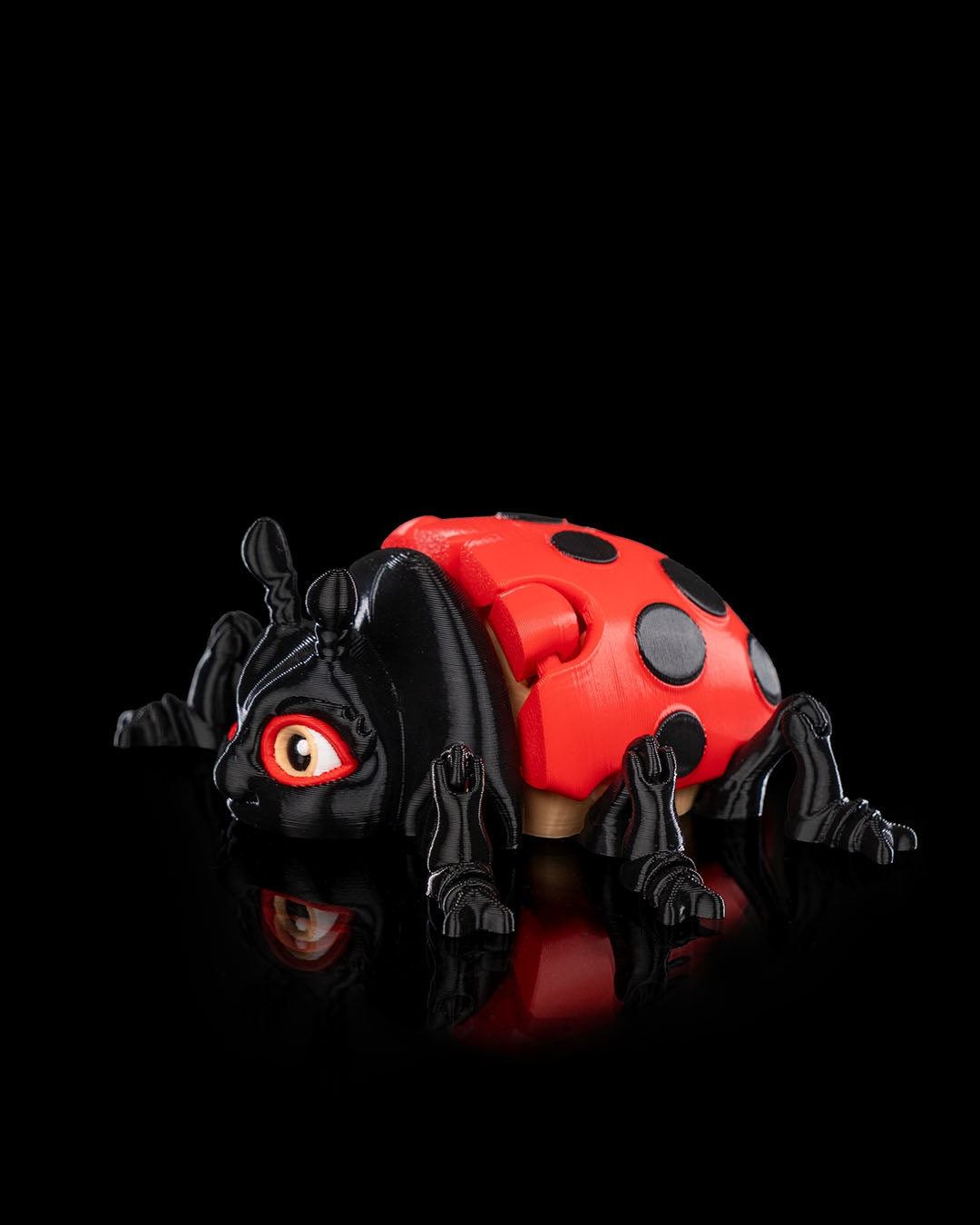 Flexi Ladybug
