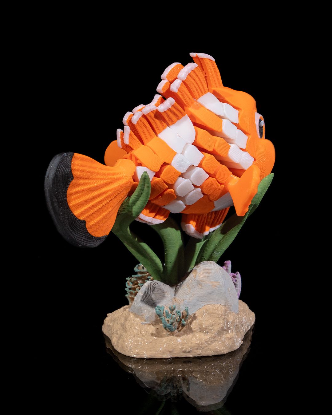 Nestor the Clownfish