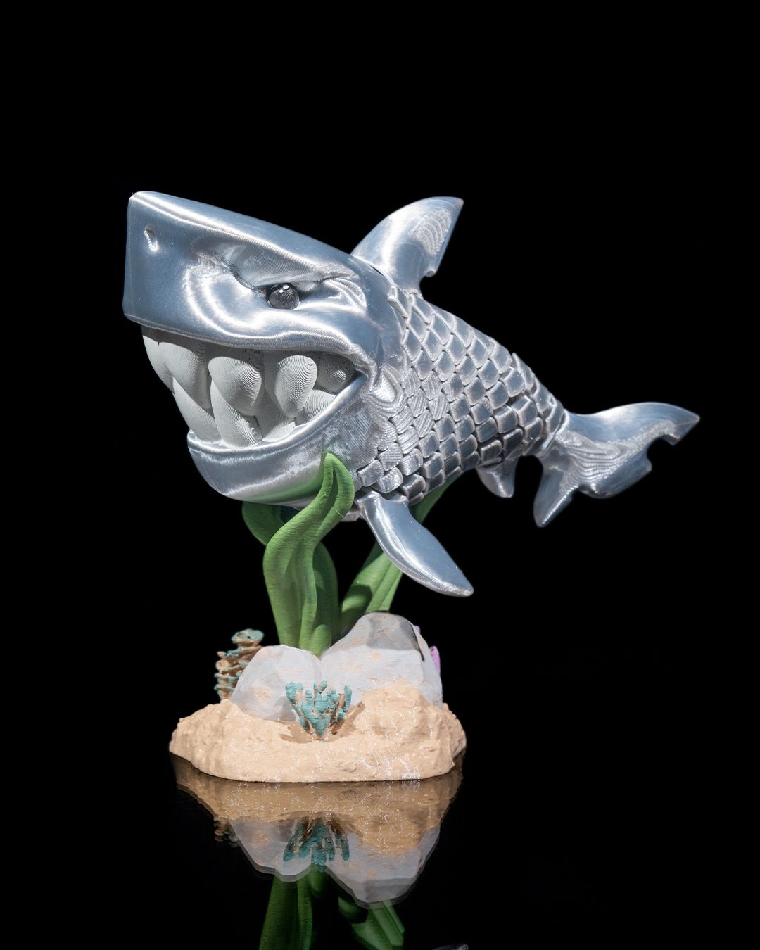 Travis the White Shark