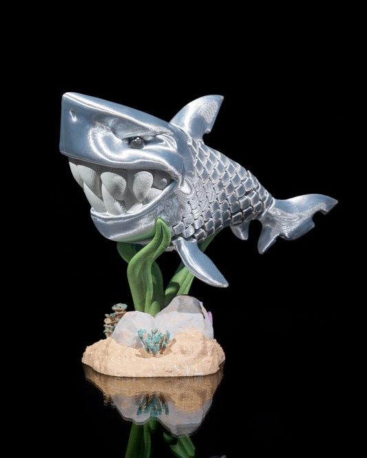 Travis the White Shark