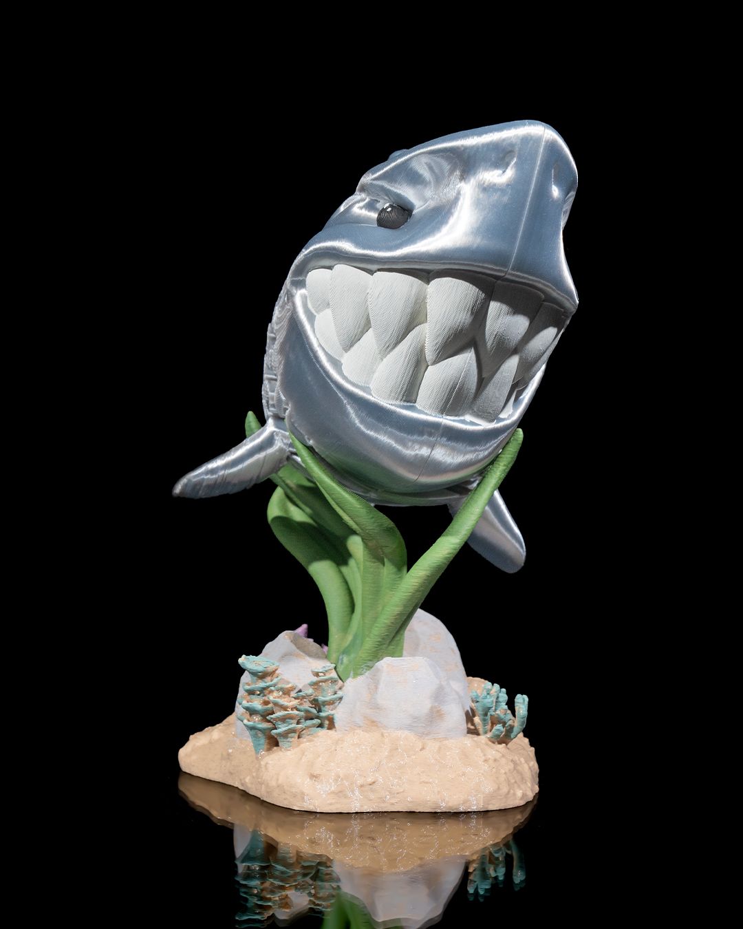 Travis the White Shark